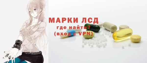 винт Лагань