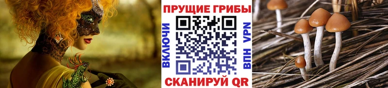 blacksprut ONION  Городище  Галлюциногенные грибы Magic Shrooms 